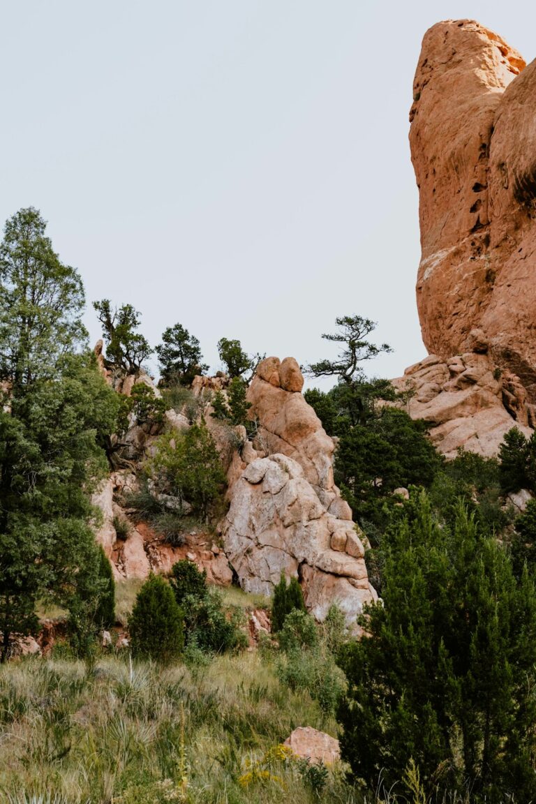 Photo by Paul Torres on Unsplash