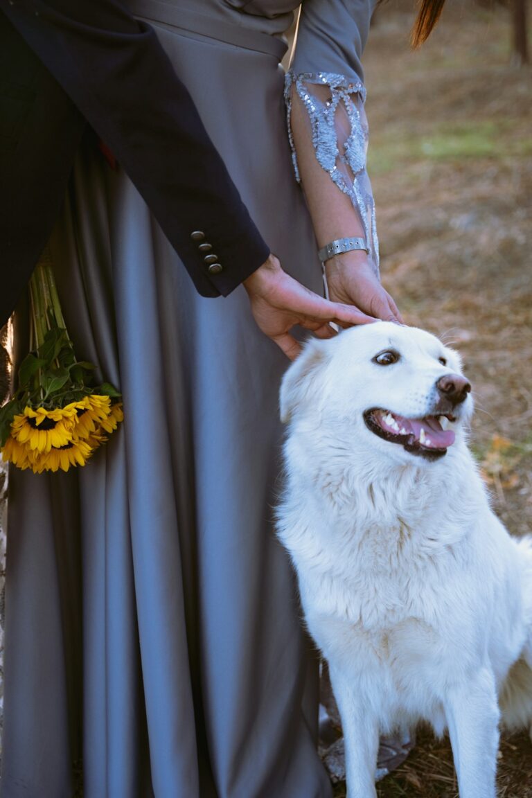 A dog wearing a bowtie sits calmly beside a couple dressed in wedding attire during an outdoor ceremony.
