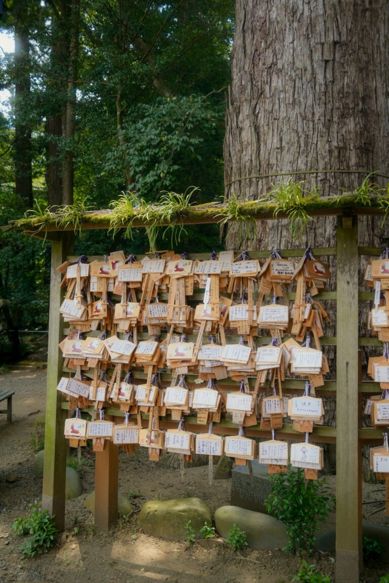Guests find handwritten escort cards beside a decorated reception table with labeled napkins and place settings.